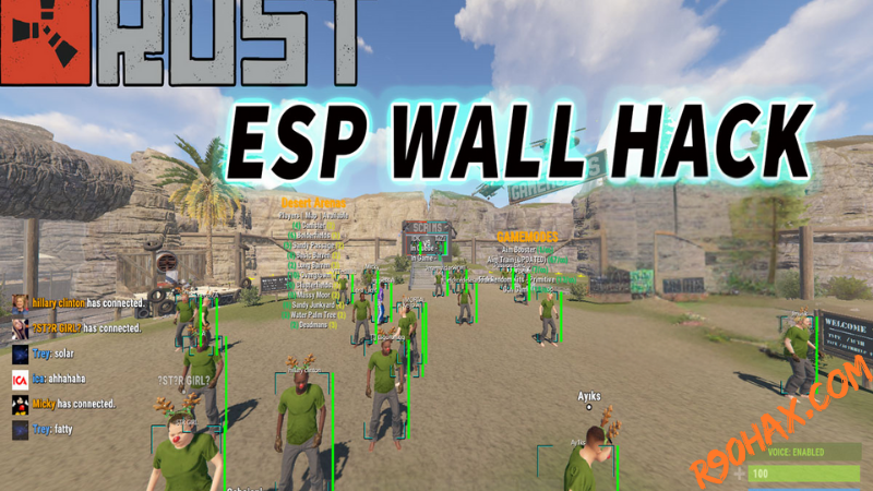 Hack RUST-ESPWH-DS